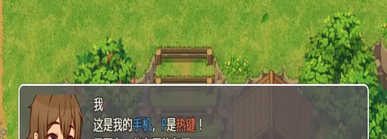 乡村地图下方的主角对话框与手机快捷键提示